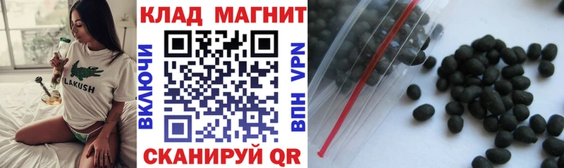 Где продают наркотики Новомичуринск Alpha PVP COCAIN Меф мяу мяу Гашиш