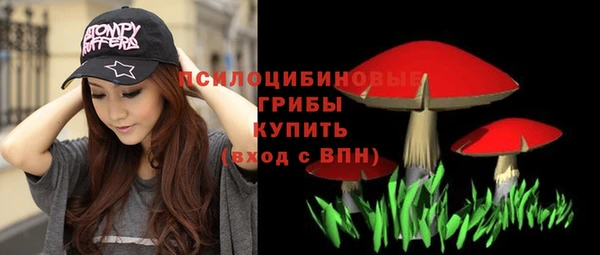первитин Армянск