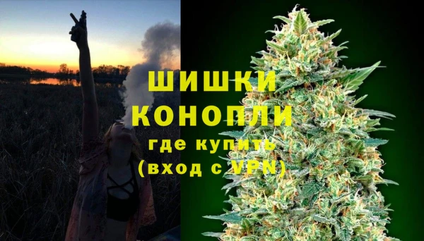 PSILOCYBIN Арсеньев