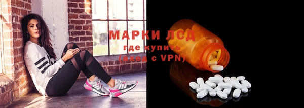 трава Аркадак