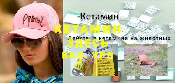 ГАЛЛЮЦИНОГЕННЫЕ ГРИБЫ Балабаново