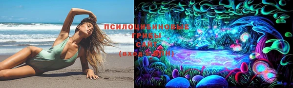 PSILOCYBIN Арсеньев