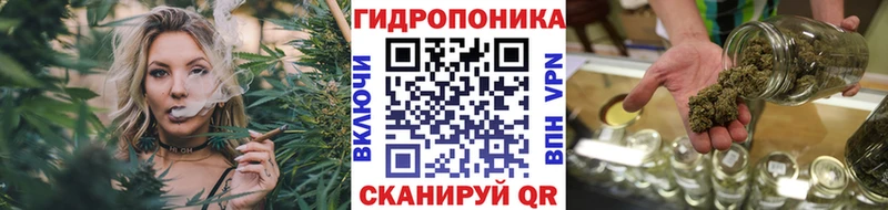 Каннабис сатива блэк спрут как войти Новомичуринск купить